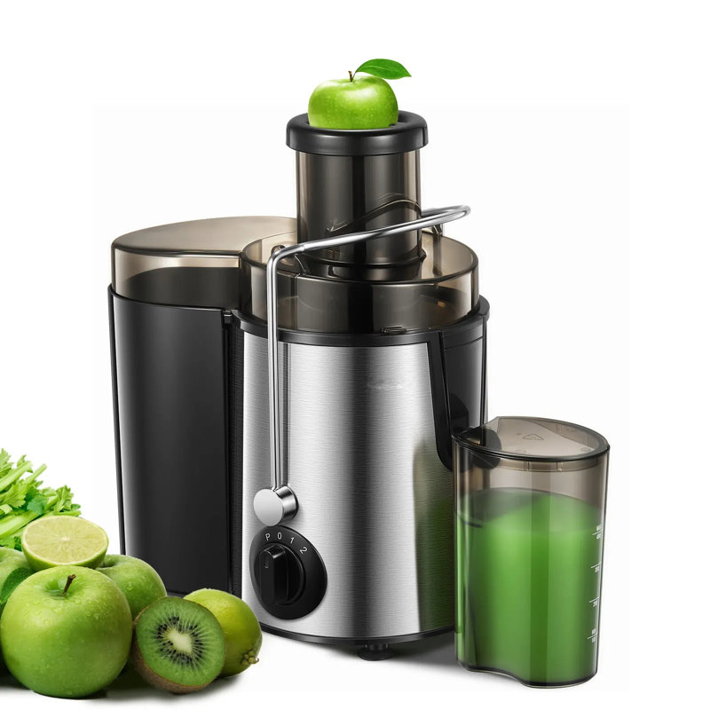 BINNBOX Machines Vegetable and Fruit Centrifugal Juicer Wayfair